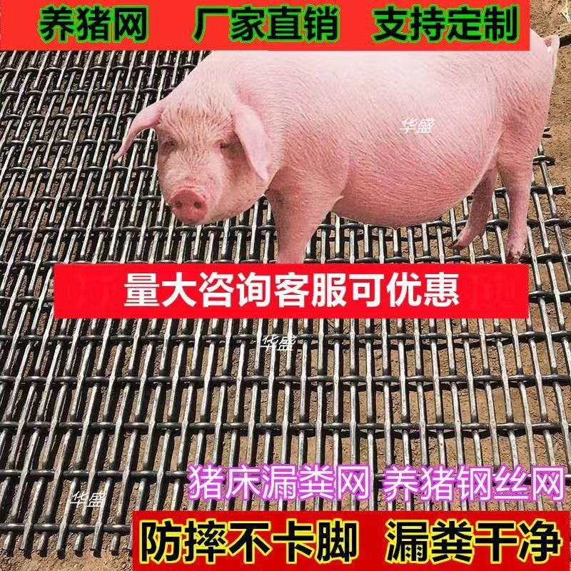 猪床网养猪网加粗钢丝网猪用漏粪网板H保育育肥床产床网板钢筋网