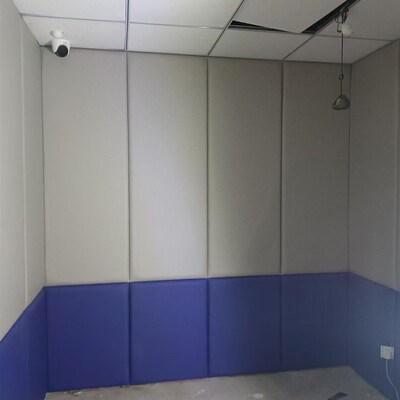 宣泄室留置e室防撞阻燃软包定制办案区询问室防水隔音板谈话室吸
