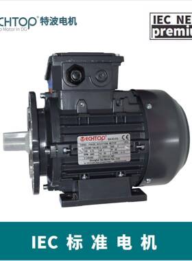 ECHTOP特波出口欧洲IEC标准铝壳电机欧盟CE/EAC认证TA132S2-2