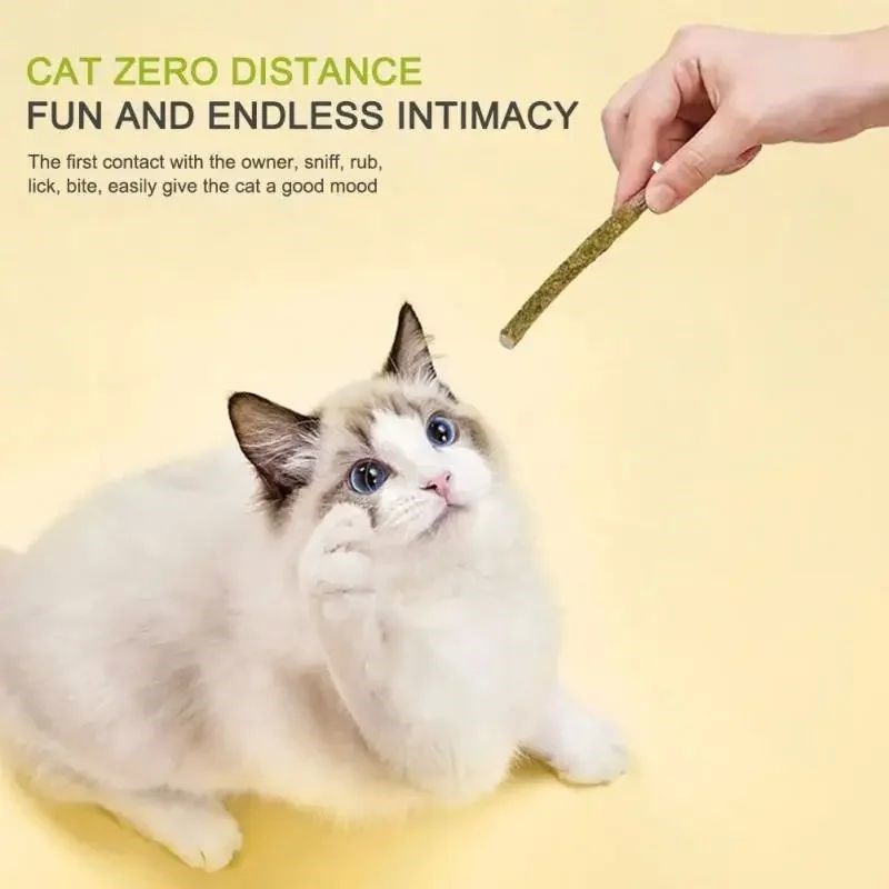 6pcs Natural Matatabi Cat Stick Mint ICaught Bite Excited Ro