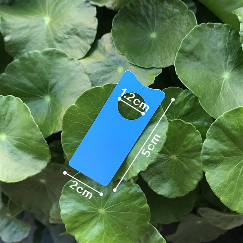 防水防晒植物标签 葡萄西瓜标记卡标识卡色卡 瓜果标记牌 分批卡