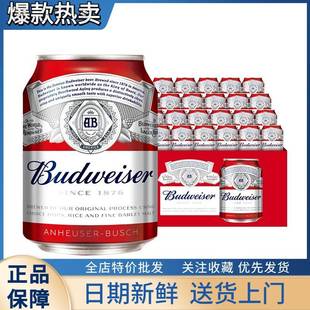 批 百威拉格啤酒255ml 24听整箱装 经典 迷你小罐mini罐日期新特价