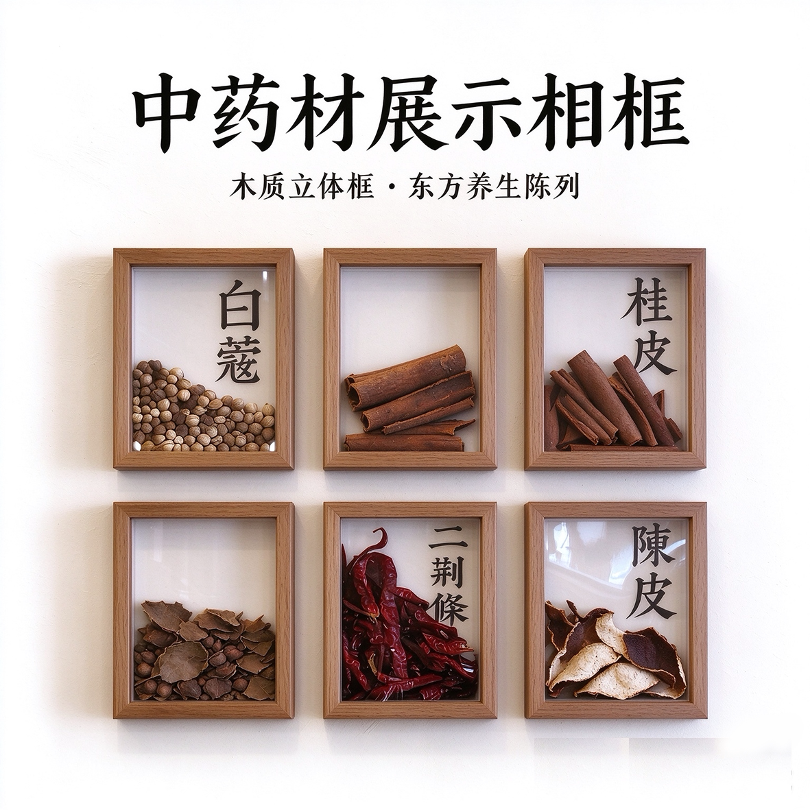 中草药标本展示相框定制