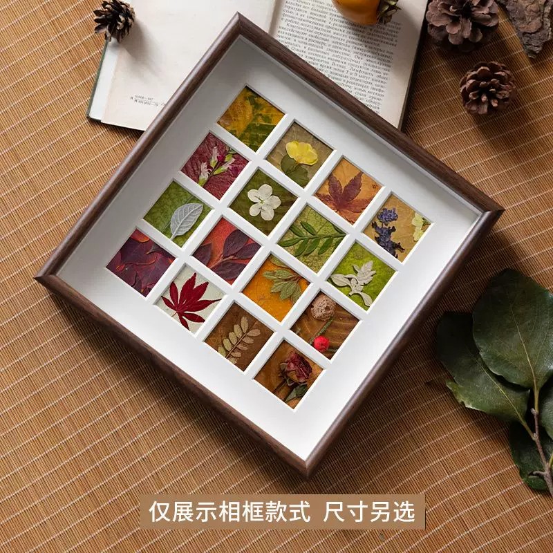 落叶宫格镂空相框DIY植物标本