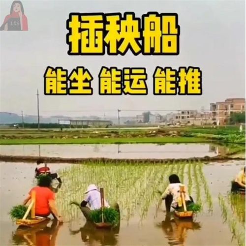 水稻插秧凳子懒人免弯腰省力插秧船水船式运苗神器稻苗船座位秧马