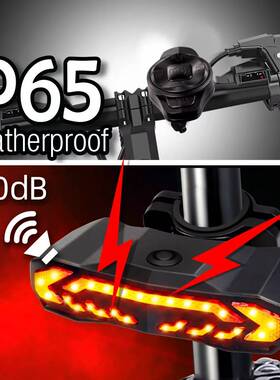 LED Bike Tail Light Waterproof Rear Brake Light with Alarm