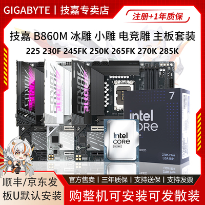 技嘉B860M冰雕小雕电竞雕搭225F 230F 245K 265KF 285KF主板U套装
