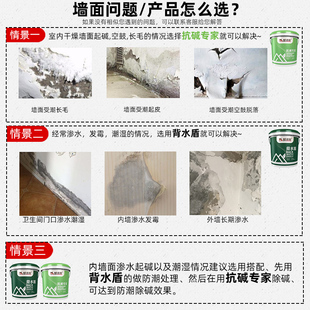 墙面返碱处理墙碱星抗碱封闭底漆补墙防水宝反碱除霉消碱一号