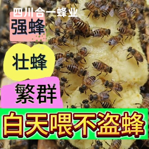 中蜂意蜂固体饲料蜜蜂养蜂繁蜂快