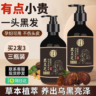北京同仁堂黑灵芝首乌白发变黑洗发水中老年少白头发转黑发乌发液