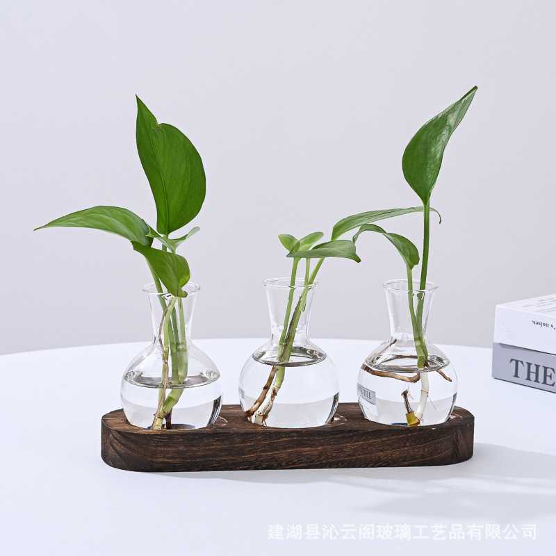 桌面水培玻璃花瓶水养植物插花容器客厅办公室木架摆件创意水培瓶