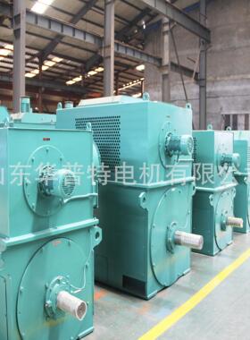 出口朝鲜欧美10kv山东华普特YKK高压电动机355kw IP55 315kw