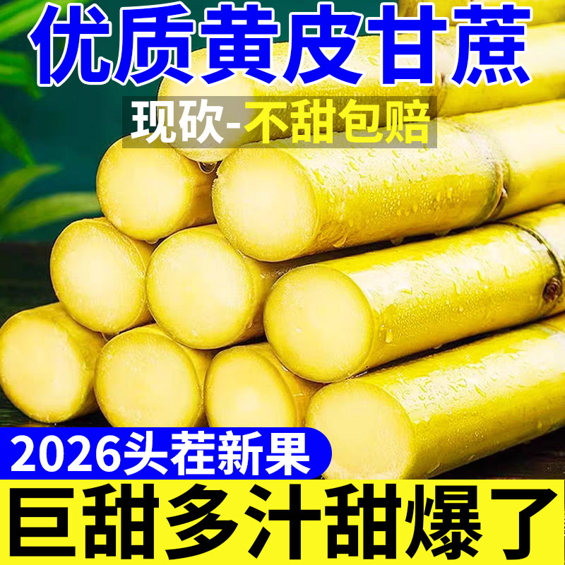 【脆甜多汁】正宗云南黄金甘蔗当季新鲜孕妇水果应季黄皮甘蔗甜柑,水产肉类/新鲜蔬果/熟食,甘蔗,淘宝优惠券,粉丝福利购,淘宝优惠卷