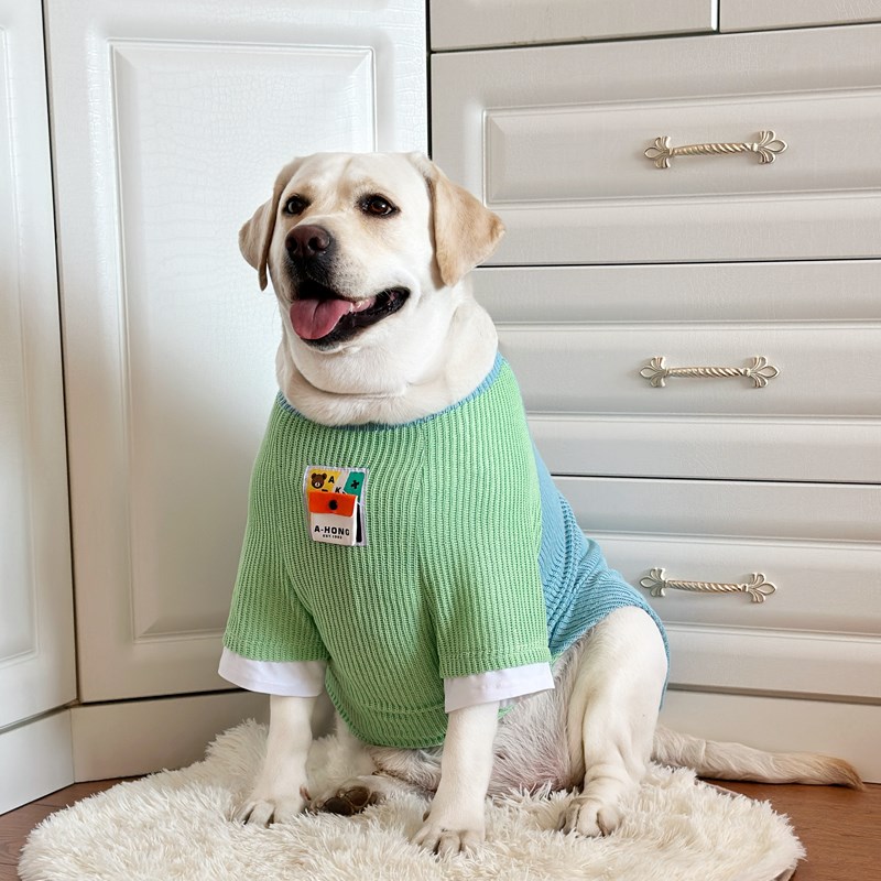 狗狗衣服大型犬春秋薄款衣服拉不拉多金毛薄款针织衣服网红狗衣服