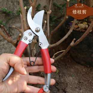 修枝剪园艺j工具修剪树枝盆栽采摘果子剪子