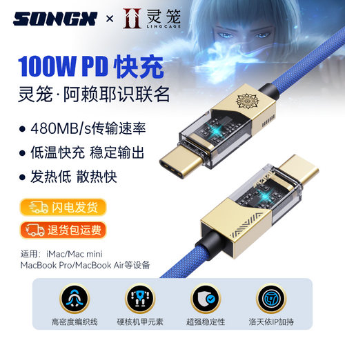 SONGX灵笼阿赖耶识PD100w数据线