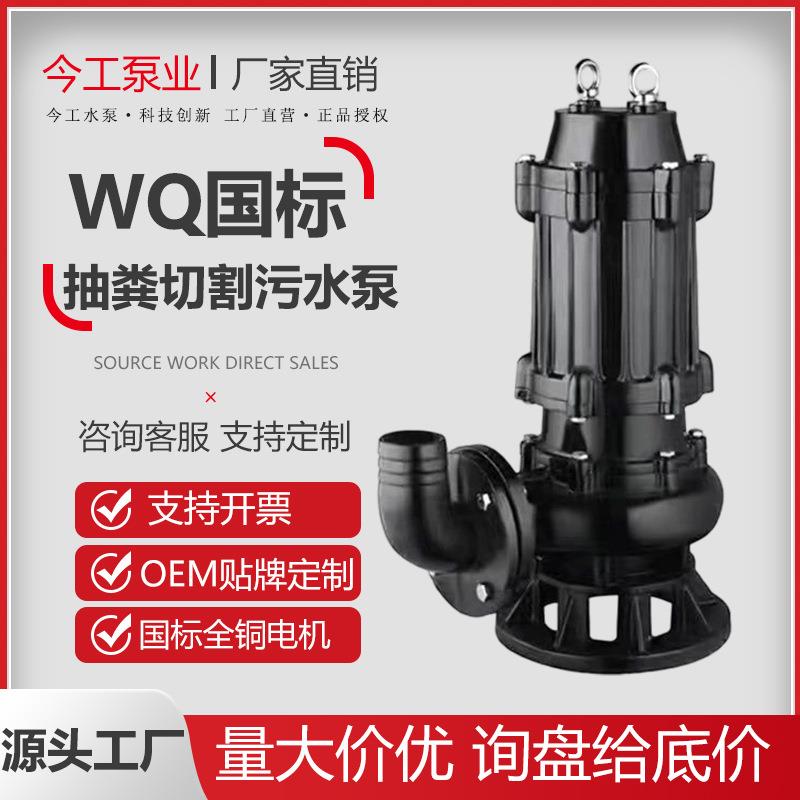 污水泵220v家用小型抽水泵化粪池抽水抽粪排污泵泥浆高扬程潜水泵