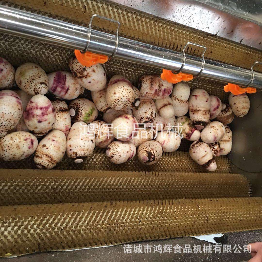 内蒙萝卜清洗去泥机新款木薯马蹄去皮清洗机特软毛毛刷洗菜机
