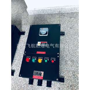 BXM(D)8050防腐控制箱防爆防腐配电箱防腐箱空箱