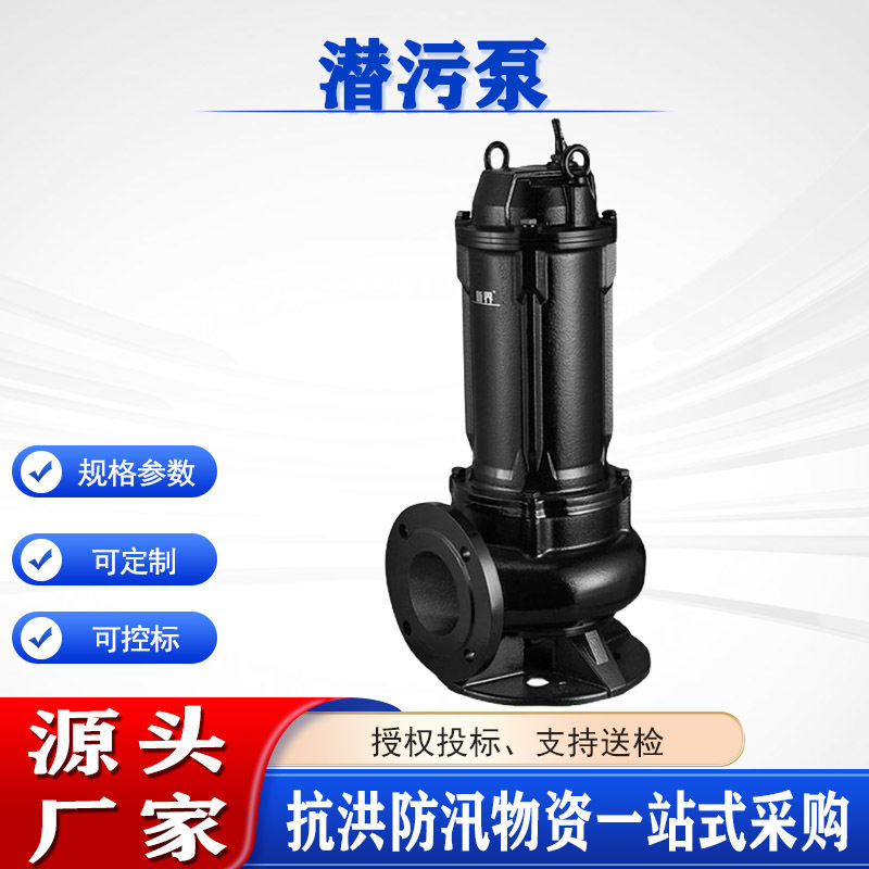 抗洪抢险潜污泵扬程≥10m功率≥20kW连续工作时间≥12h国债