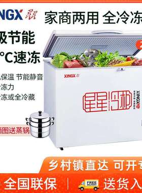 星星冰柜210E升家用全冷冻小型商用大容量单温雪柜卧式冷柜小冰箱