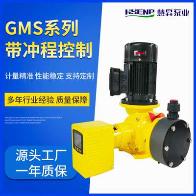 GMS带冲程控制电磁泵 GMS机械计量泵GM0050 180 500 2000慧昇泵业