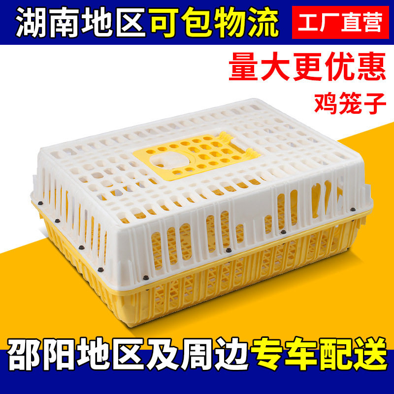 塑料鸭笼鸡笼周转箱成鸡成鸭运输笼家禽养殖笼厂家直销养殖专用