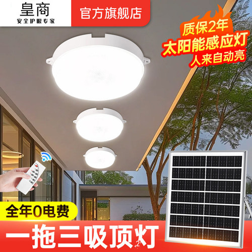 太阳能24小时人体感应灯家用庭院灯户外超亮农村楼道走廊吸顶灯