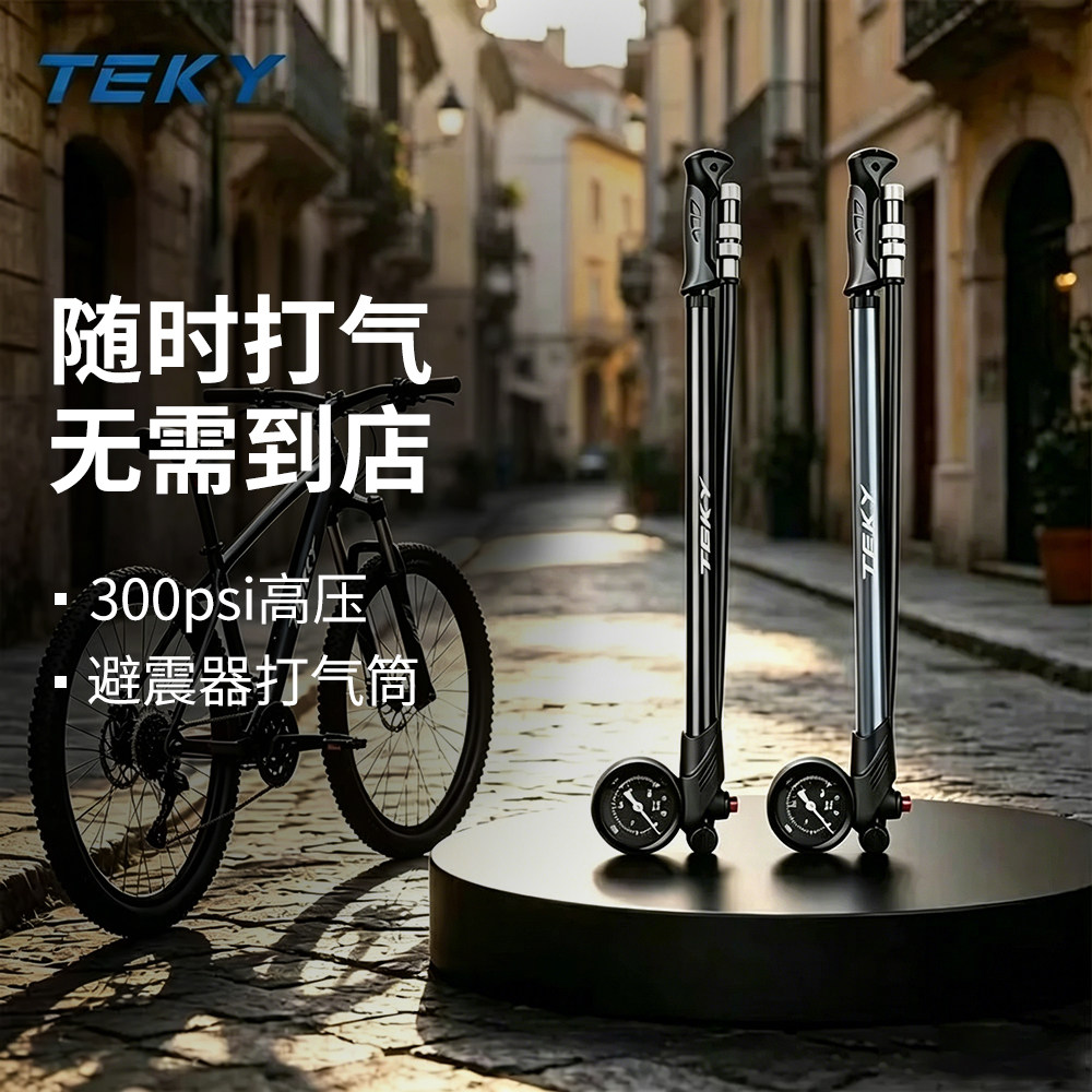 TEKY前叉打气筒铝合金便携充气泵图片