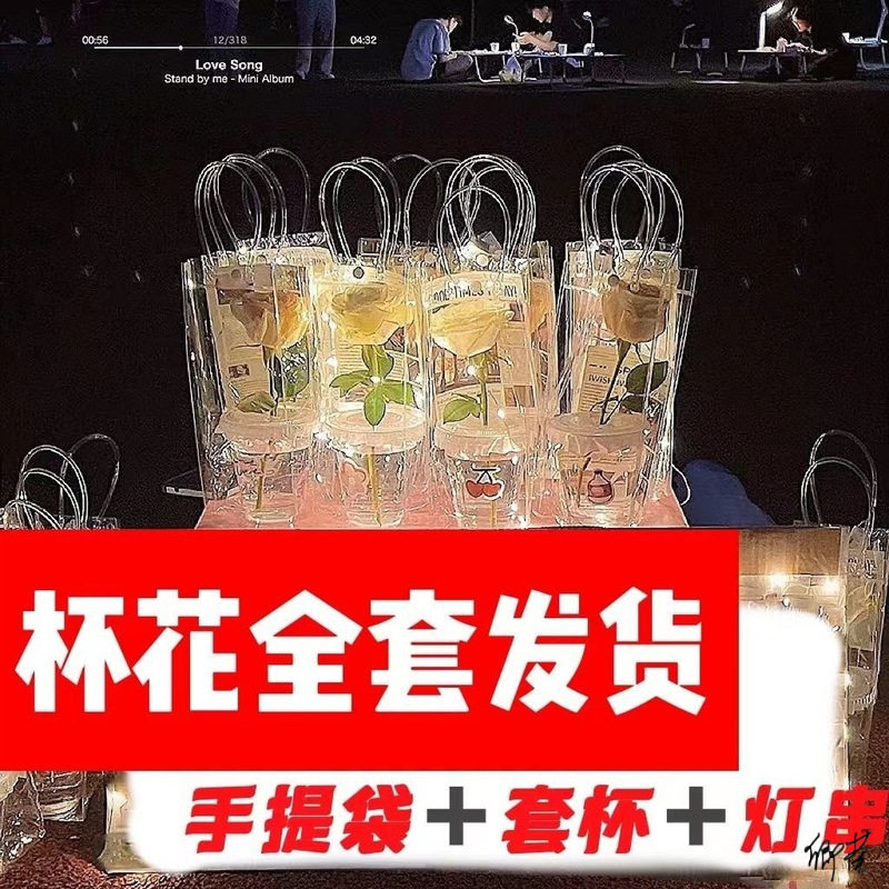 发光摆摊惊喜玫瑰雏菊干花套装