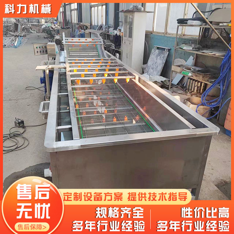 蔬菜水果气泡清洗机 自动洗菜机 萝卜土豆气泡清洗机