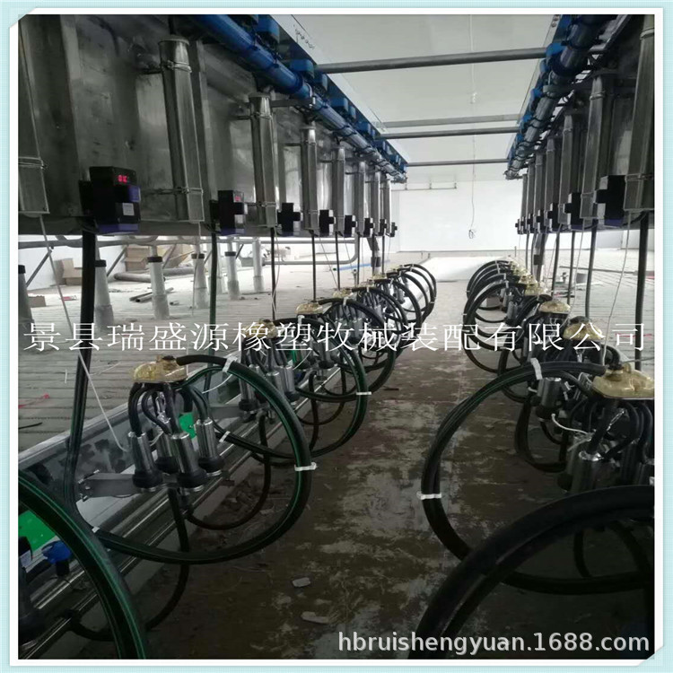 挤奶设备 红外线电子计量自动脱杯并列快放挤奶机 全自动挤奶机