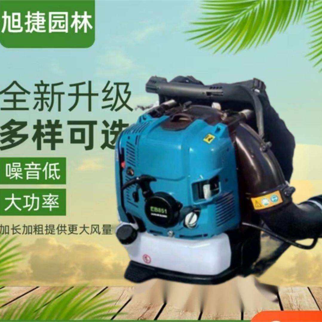 大棚吹雪机背负式风力灭火机园林落叶除尘器吹雪神器