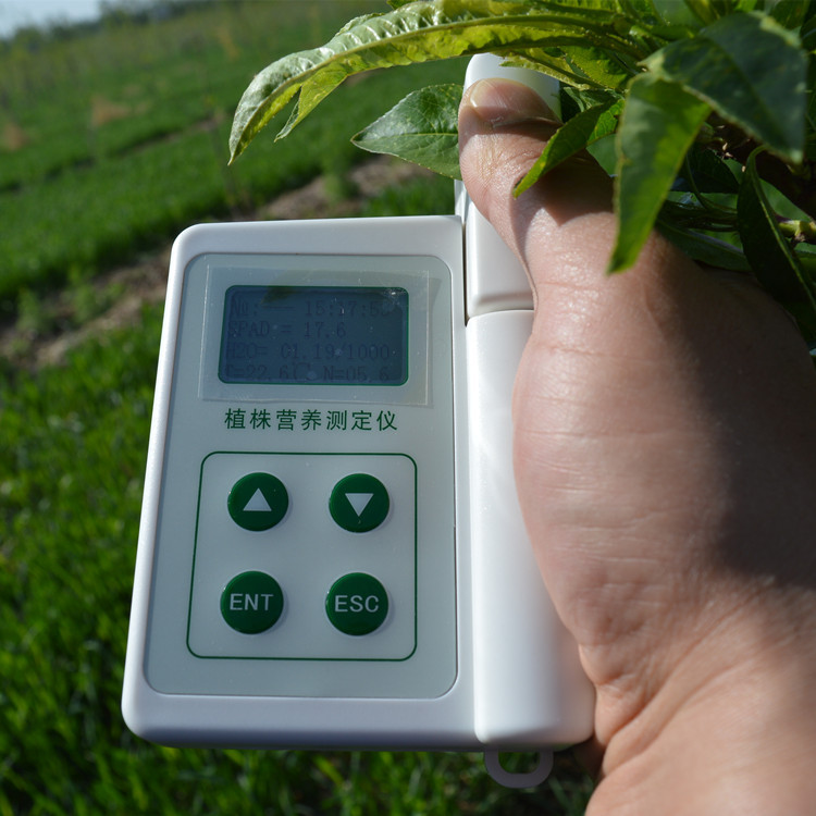 TYS-4N便携植株营养仪叶绿素氮