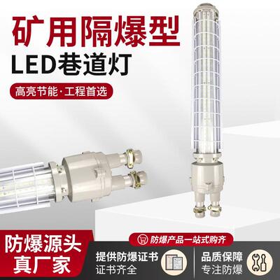 DGS36/127L(A)矿用隔爆型LED巷道灯24W长形煤矿/铜矿/隧道防爆灯