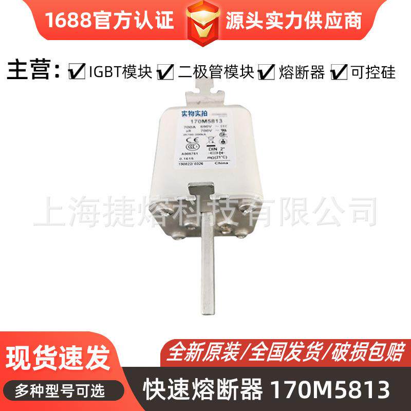 170M5813170M5959快速熔断器保险丝电子元器件量大价优