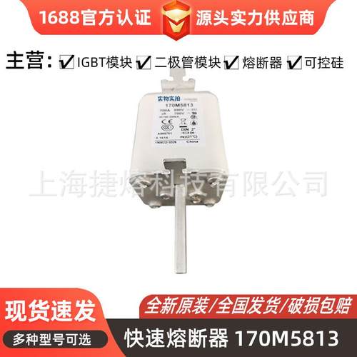 170M5813170M5959快速熔断器保险丝电子元器件量大价优