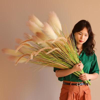 草狗尾巴草仿真花客厅摆件芦苇摆设干花造景假花室内装饰落地绿植