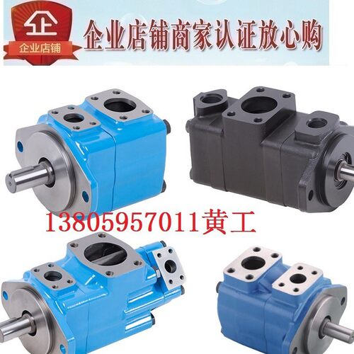 HONGYI叶片泵35VQ21A 35VQ25A-1A20R 1B20R 1C20R 1D20R 11