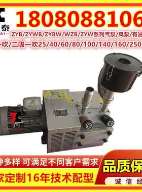 ZYBW...E真空压力复合气泵ZYBW60E滑片泵甩片泵干泵镇江气泵