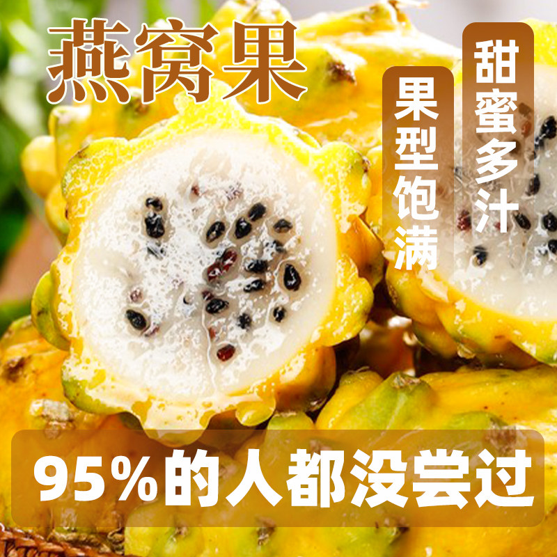 海南燕窝果新鲜当季孕妇水果热带黄皮麒麟火龙果现摘现发整箱包邮,水产肉类/新鲜蔬果/熟食,火龙果,淘宝优惠券,粉丝福利购,淘宝优惠卷