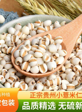 兴仁小薏米贵州薏米仁兴仁薏仁米新米薏苡仁去湿2025新货五谷杂粮