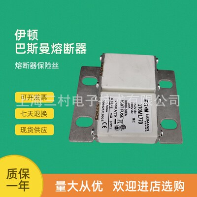 全新原装现货快速熔断器保险丝断路器170M1770 170M1771 170M1772