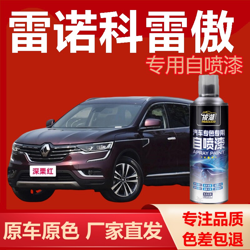 雷傲自喷漆专车专用手喷漆