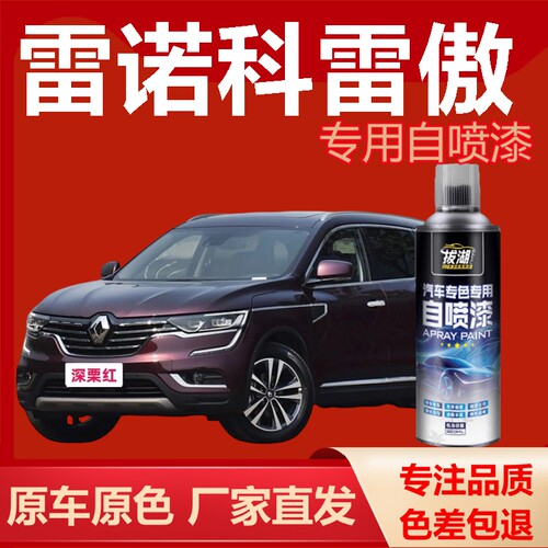 雷傲自喷漆专车专用手喷漆