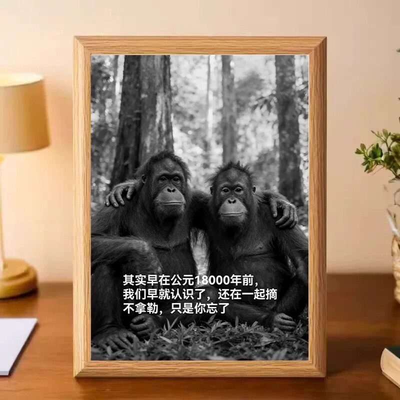 搞笑大猩猩摆台相框情侣生日礼物