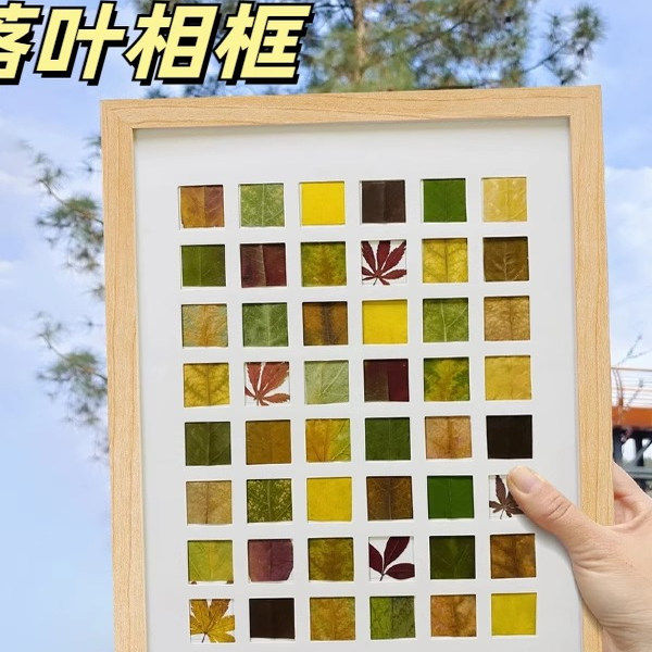 落叶相框秋天树叶子植物标本收集24宫格diy手工捡秋干花展示画框