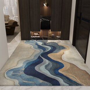 入户门地垫高级感进门o门口脚垫防滑耐脏免洗门外玄关地毯2025新