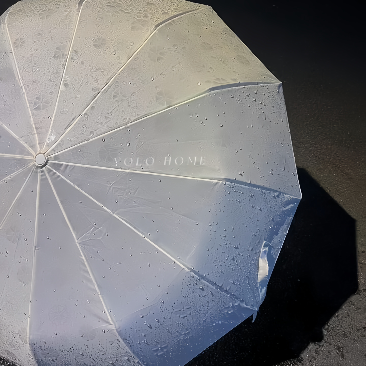 遇水开花雨伞全自动结实耐用伞小巧便携女高颜值学生上学专用家用