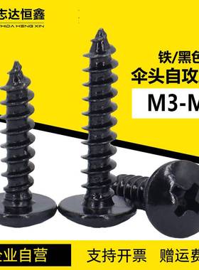 TA伞头黑色加硬自攻螺丝 十字槽大扁头粗牙自攻螺钉M3M3.5M4M5M6